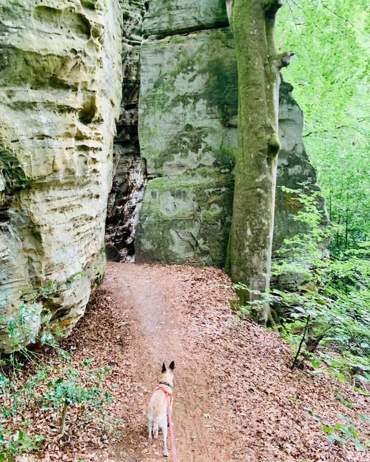 Tailor's Trail D'adventure Mullerthal Gasthof Befort